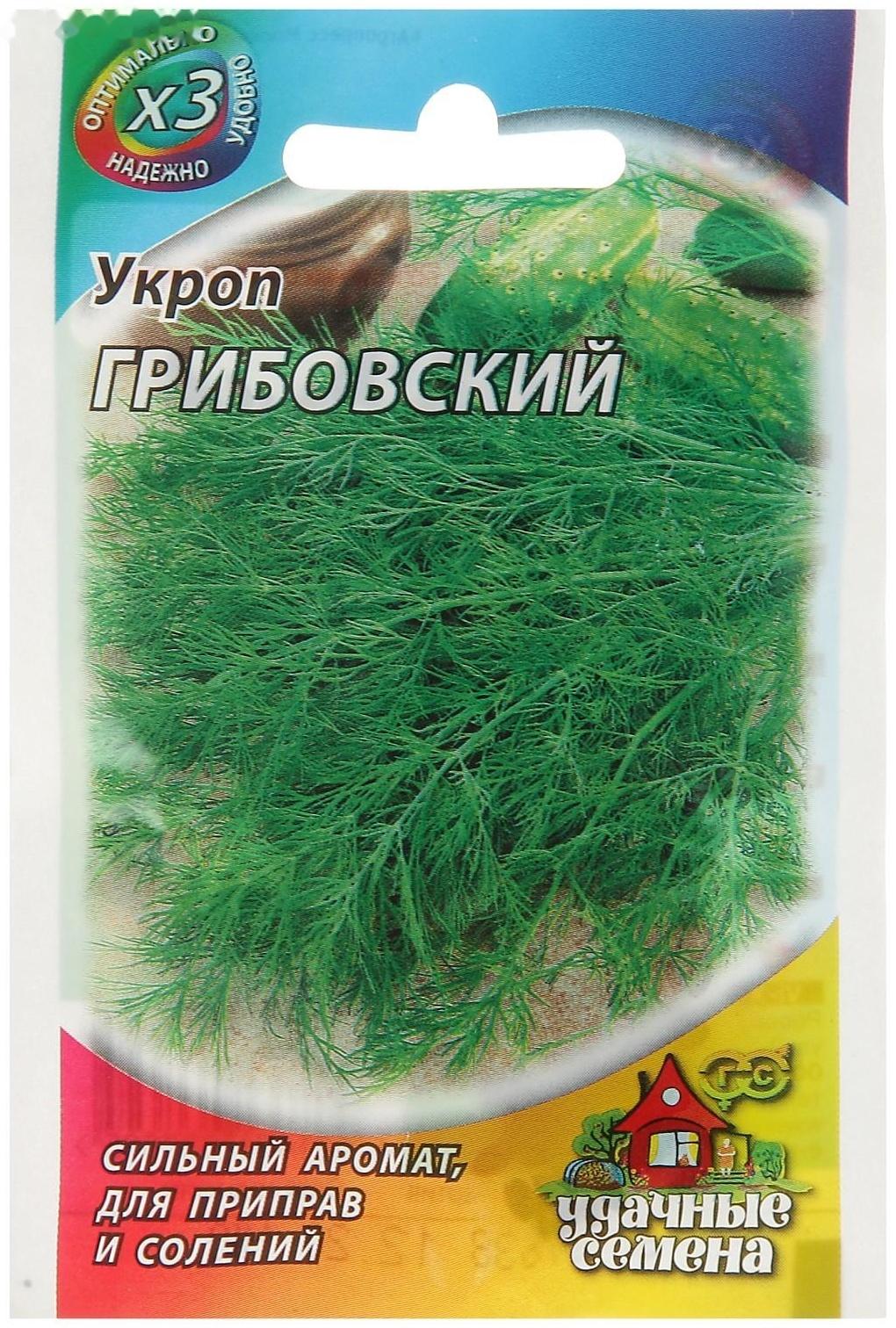 Семена Укроп 