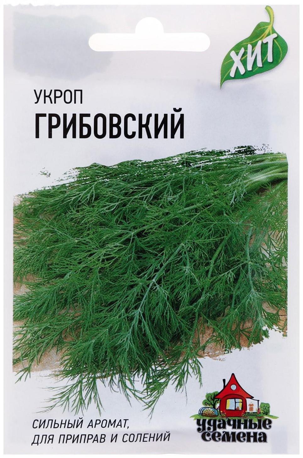 Семена Укроп 