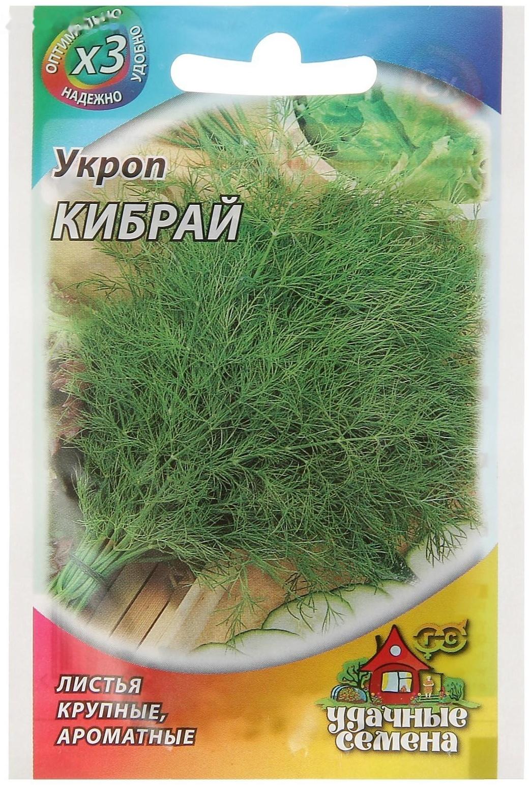 Семена Укроп 