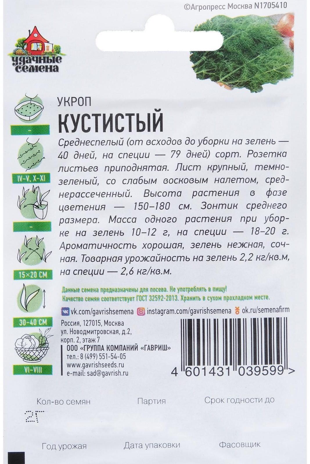 Семена Укроп 