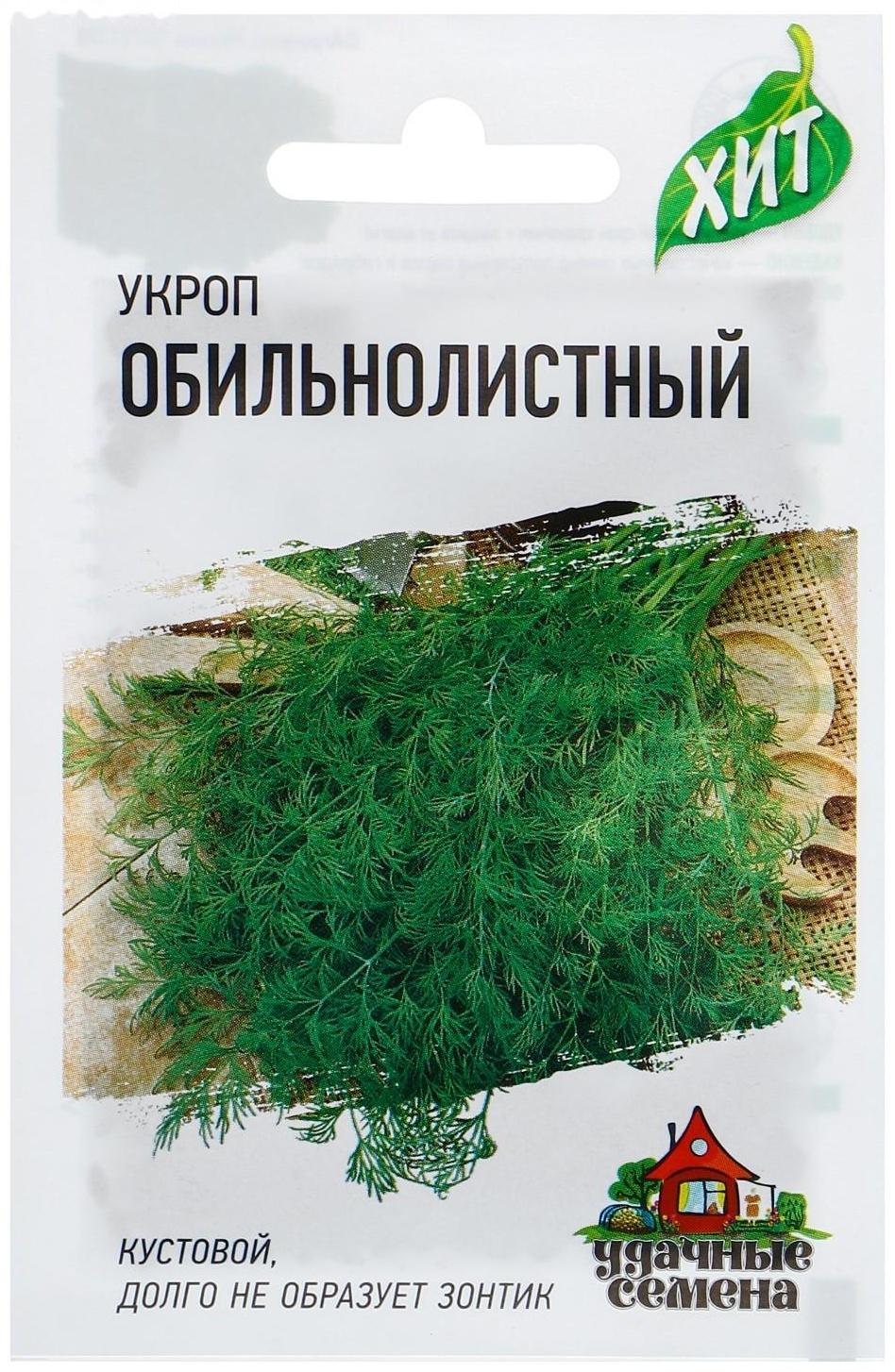 Семена Укроп 