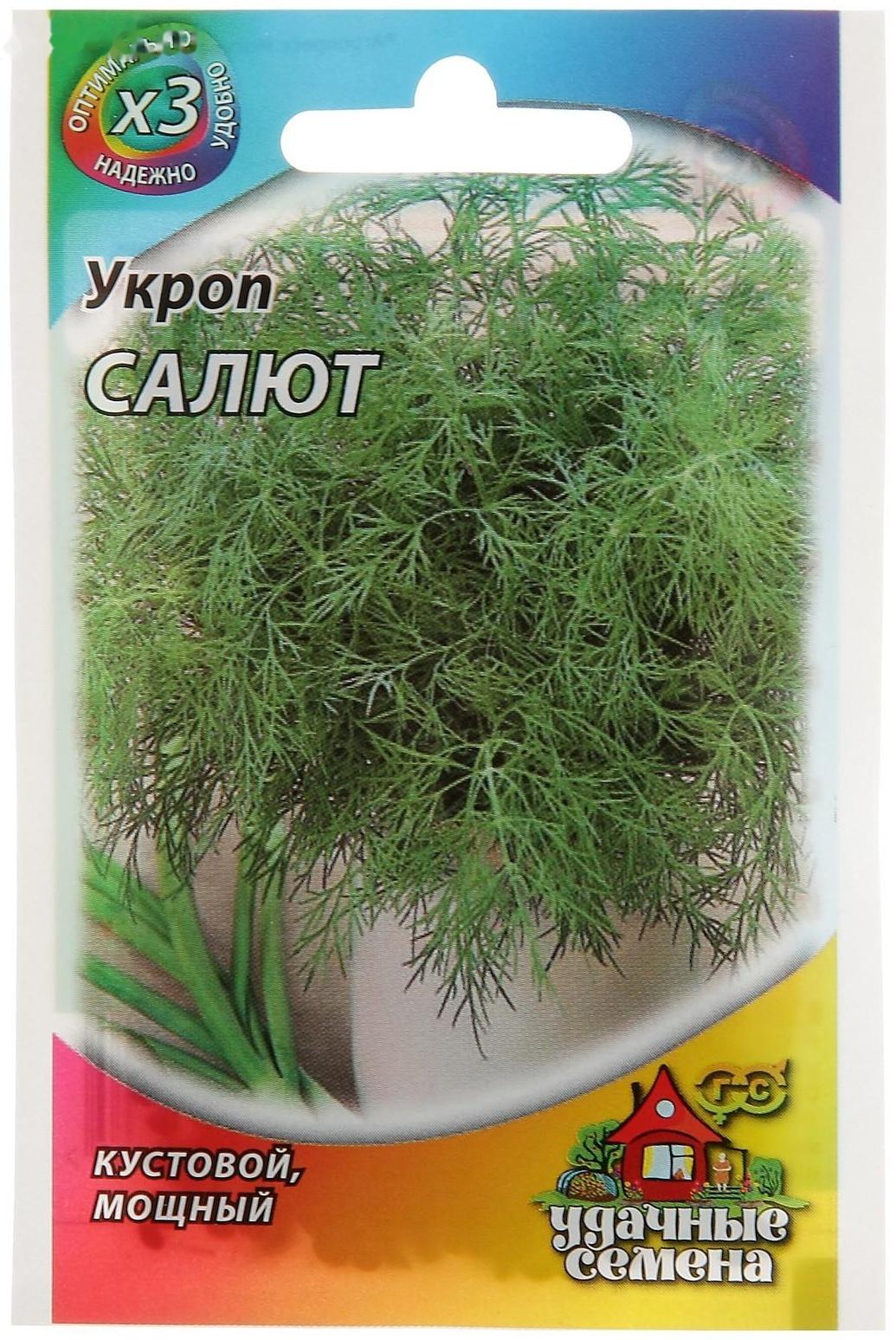 Семена Укроп 