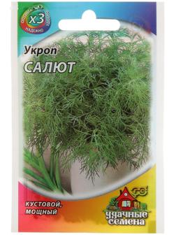 Семена Укроп 