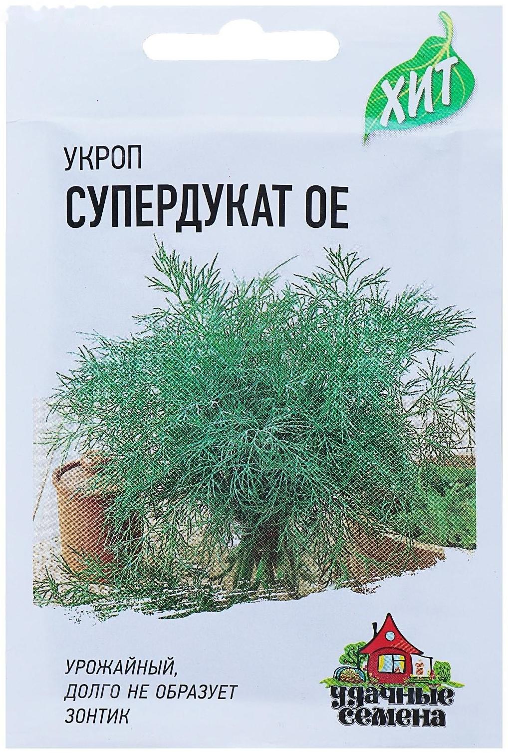 Семена Укроп 