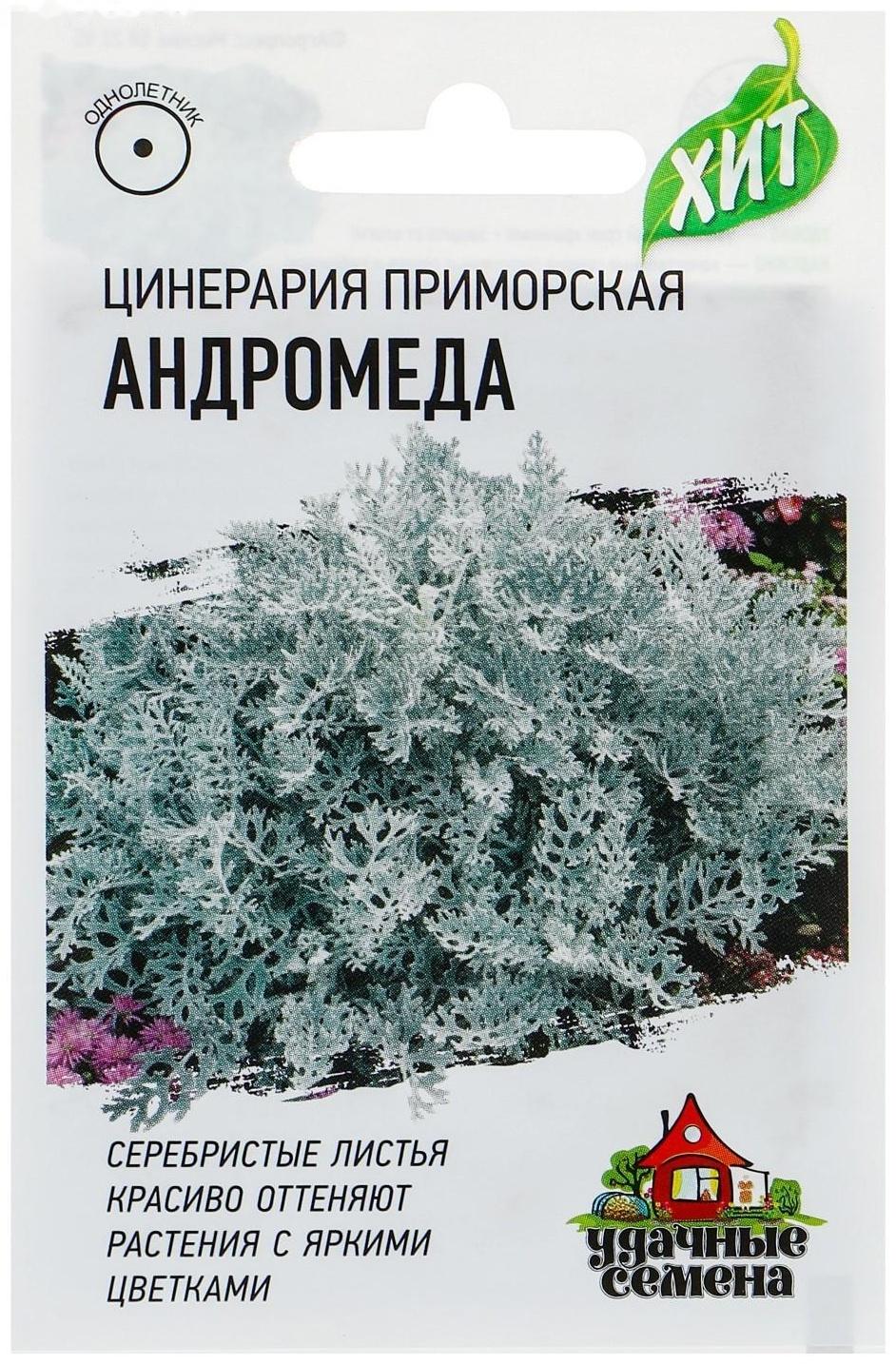 Семена цветов Цинерария приморская 