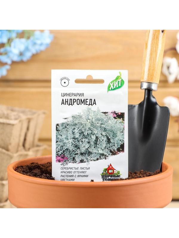 Семена цветов Цинерария приморская 