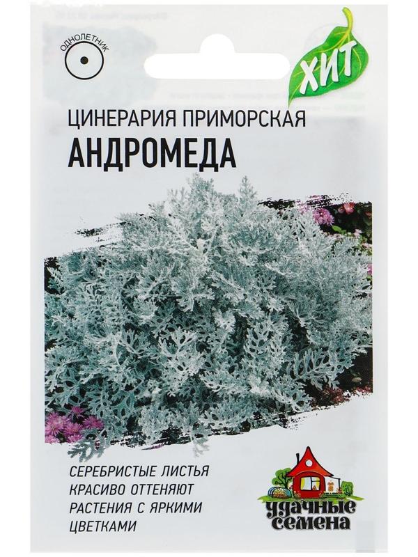 Семена цветов Цинерария приморская 