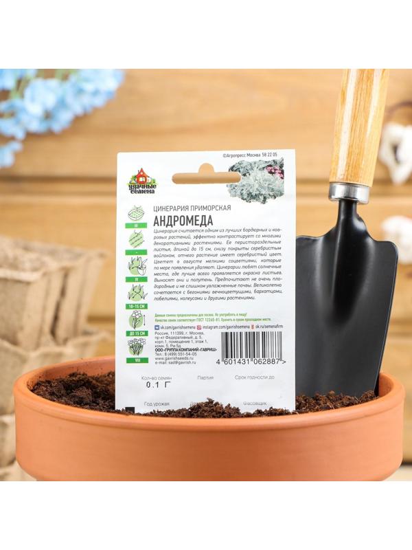 Семена цветов Цинерария приморская 