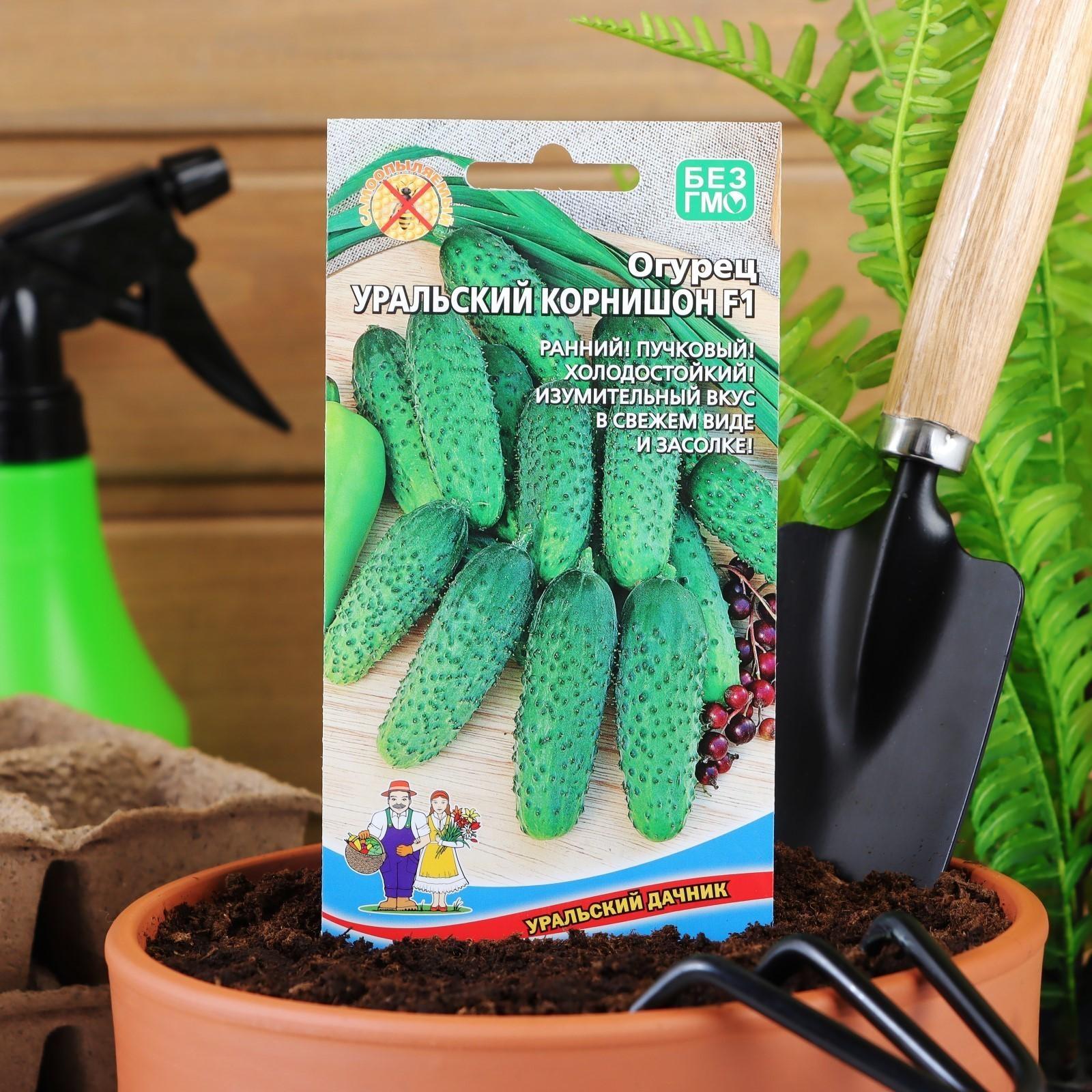 Семена Огурец 