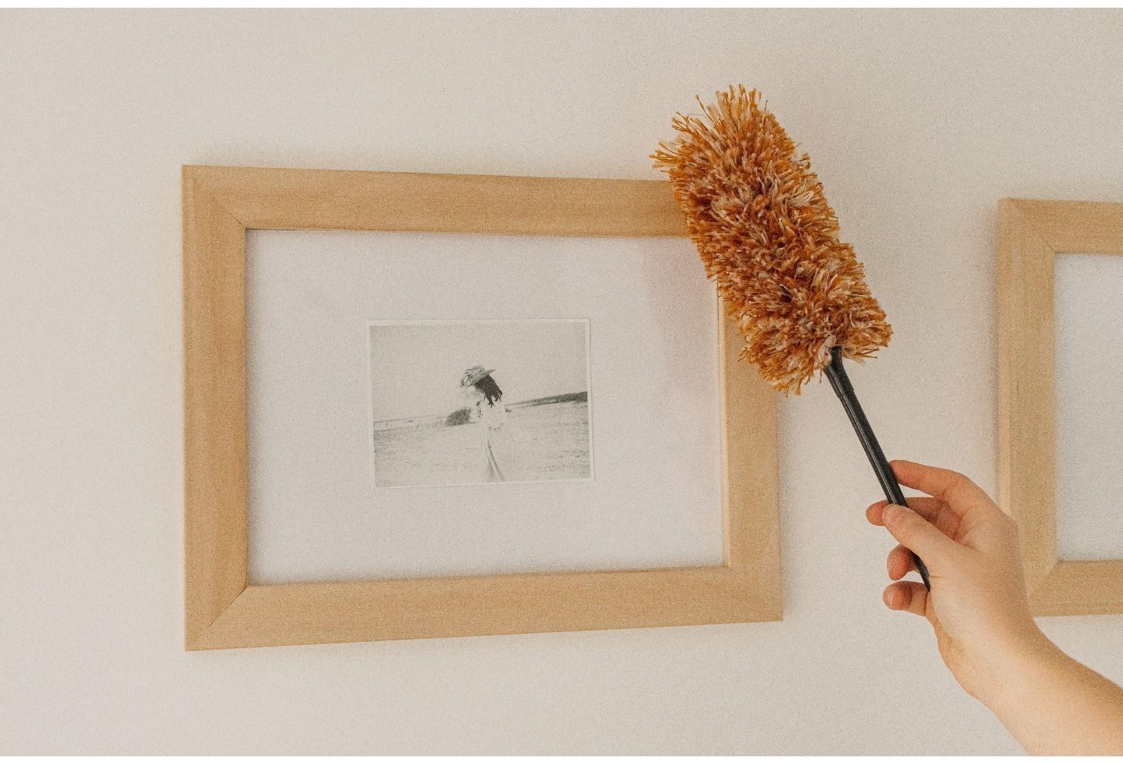 Щётка для удаления пыли Доляна, 30 см, ручка 13,5 см