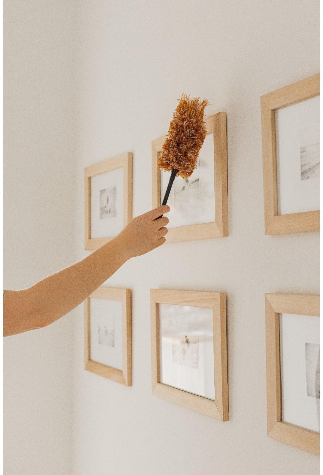 Щётка для удаления пыли Доляна, 30 см, ручка 13,5 см