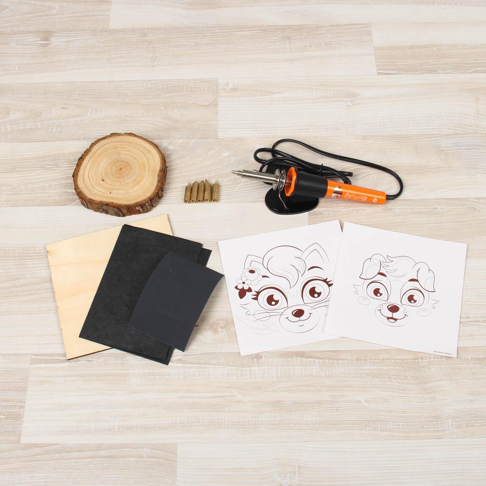 Набор для выжигания и росписи по дереву «Любимые питомцы»