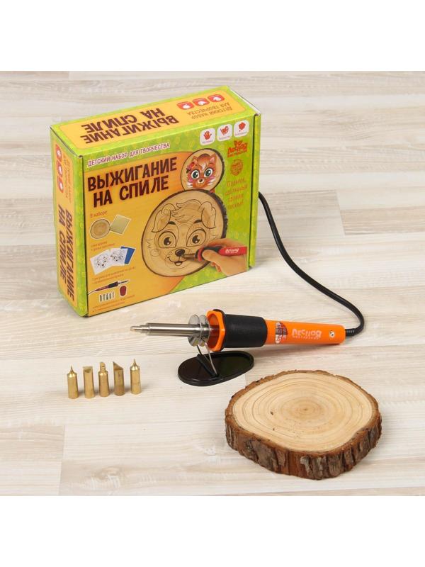 Набор для выжигания и росписи по дереву «Любимые питомцы»