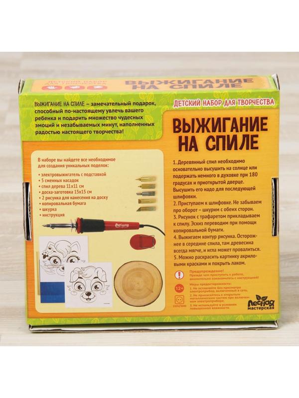 Набор для выжигания и росписи по дереву «Любимые питомцы»