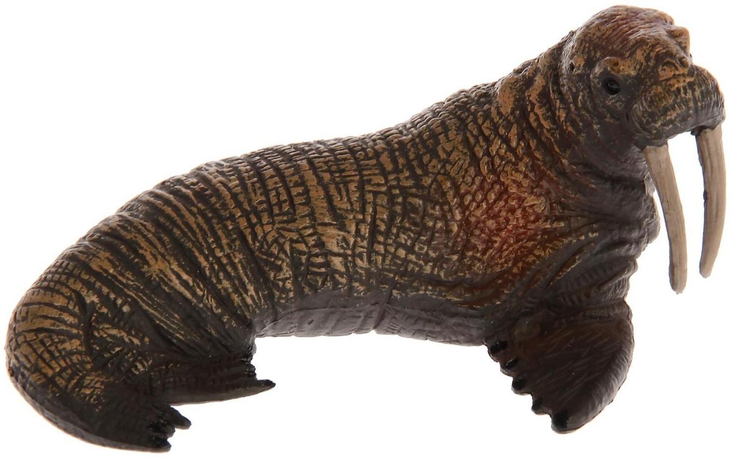 Фигурка животного «Морской житель», МИКС