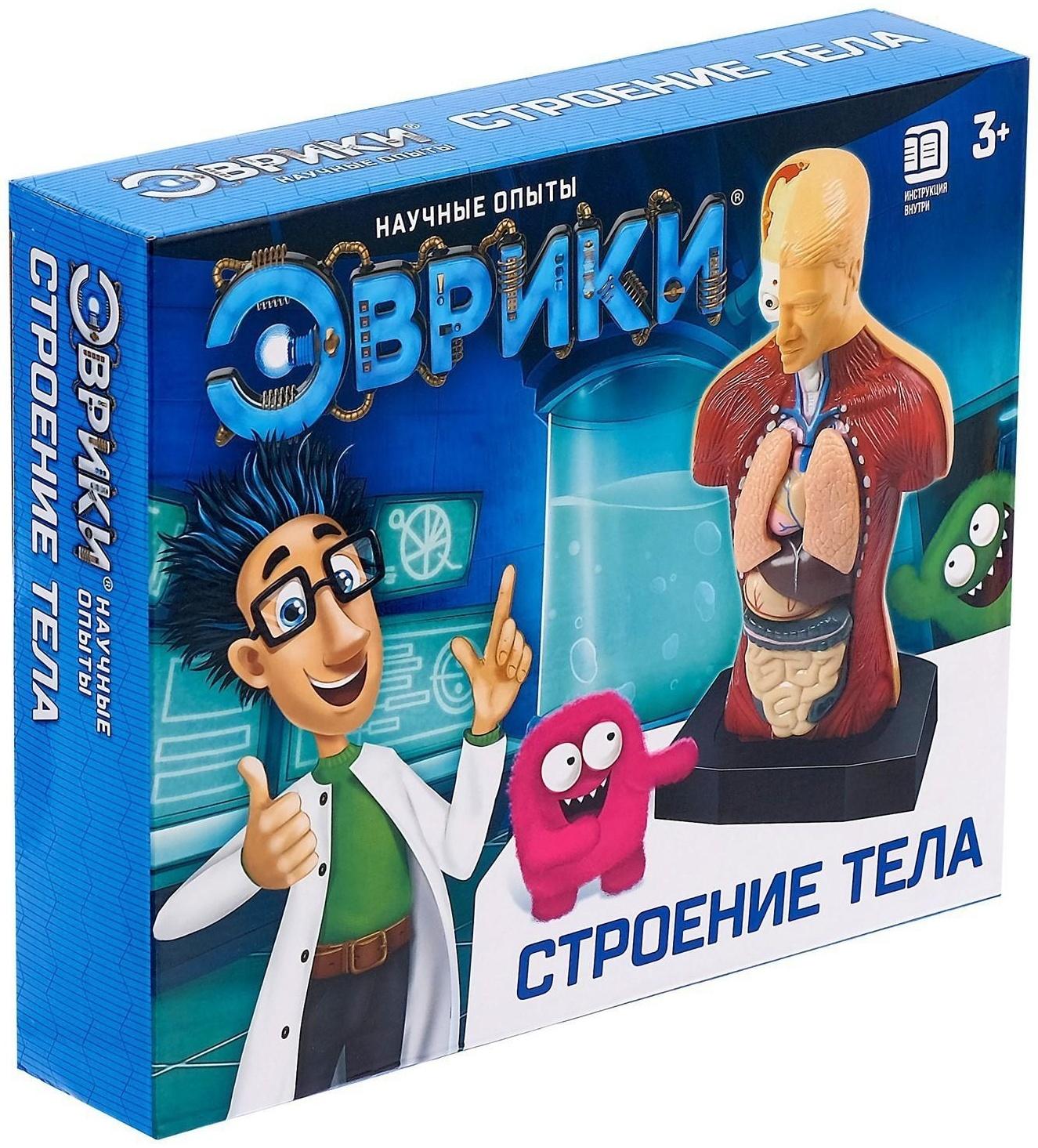 Научный опыт «Строение тела»