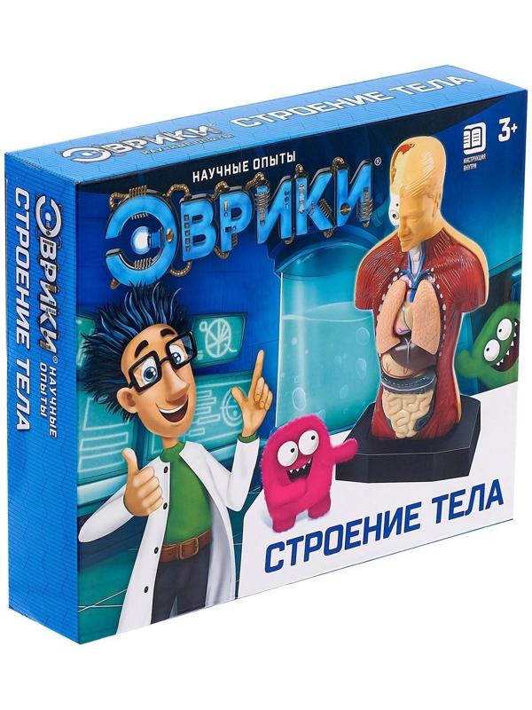 Научный опыт «Строение тела»