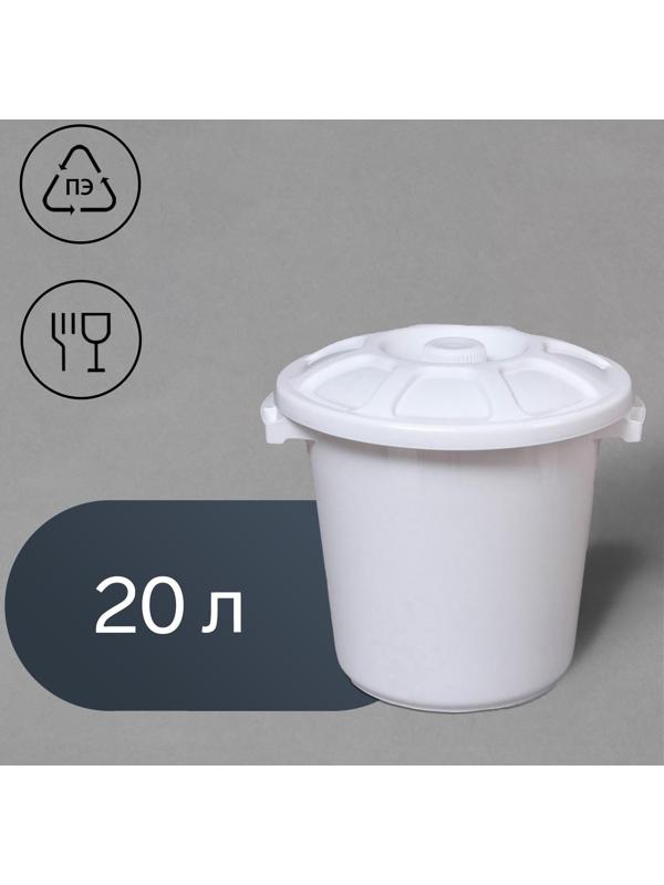 Бак пищевой, 20 л, с крышкой, цвет МИКС