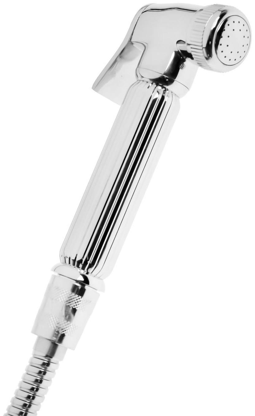 Cмеситель для кухни Accoona A4491, с гигиеническим душем, латунь, хром