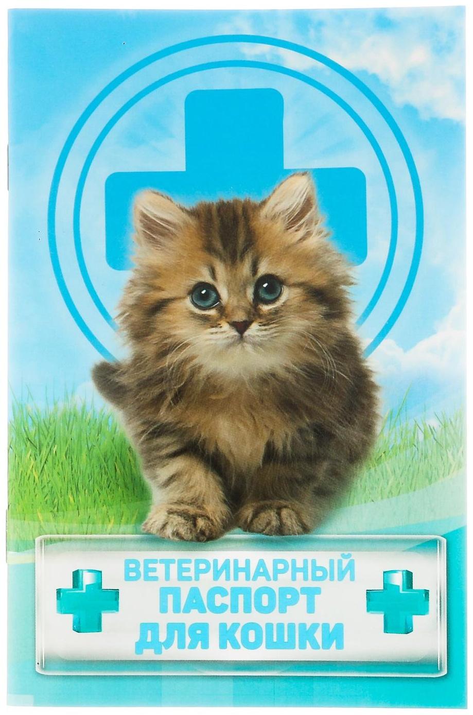 Ветеринарный паспорт 