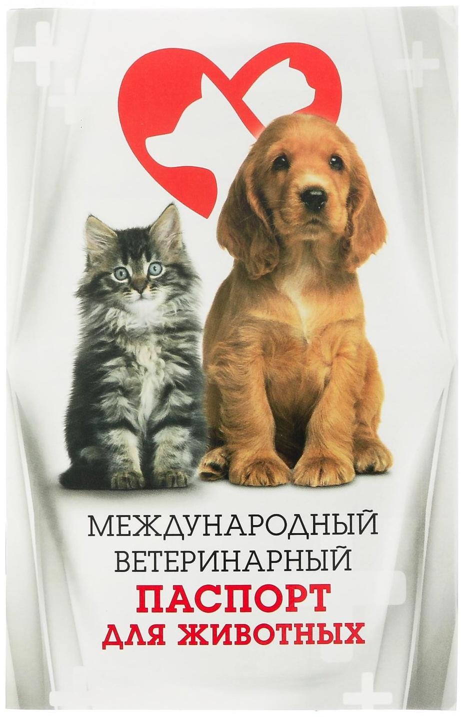 Международный вет. паспорт 