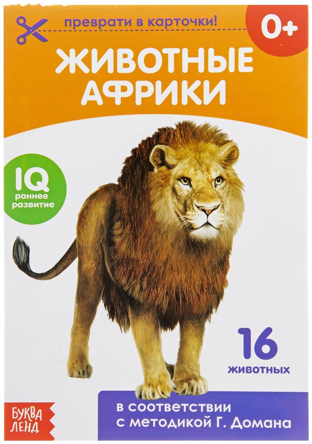 Обучающая книжка по методике Г. Домана «Животные Африки», 20 стр.