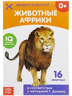 Обучающая книжка по методике Г. Домана «Животные Африки», 20 стр.