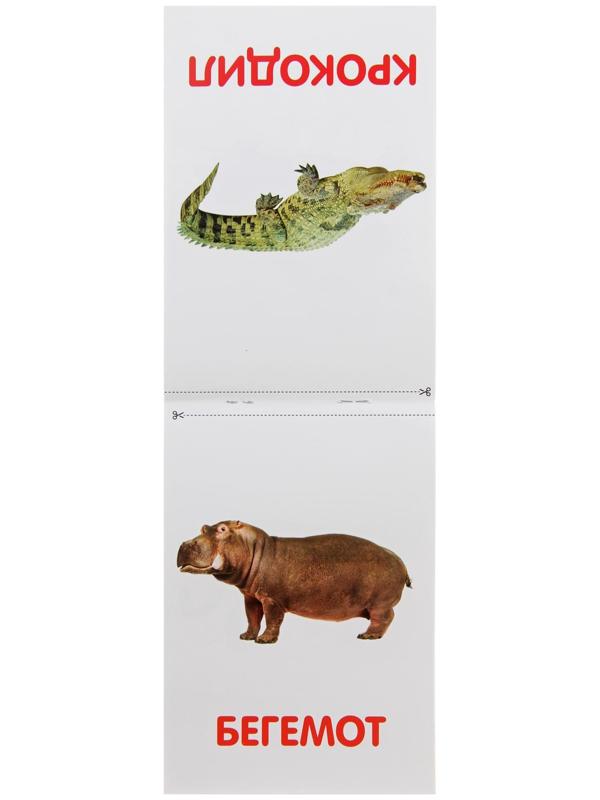 Обучающая книжка по методике Г. Домана «Животные Африки», 20 стр.