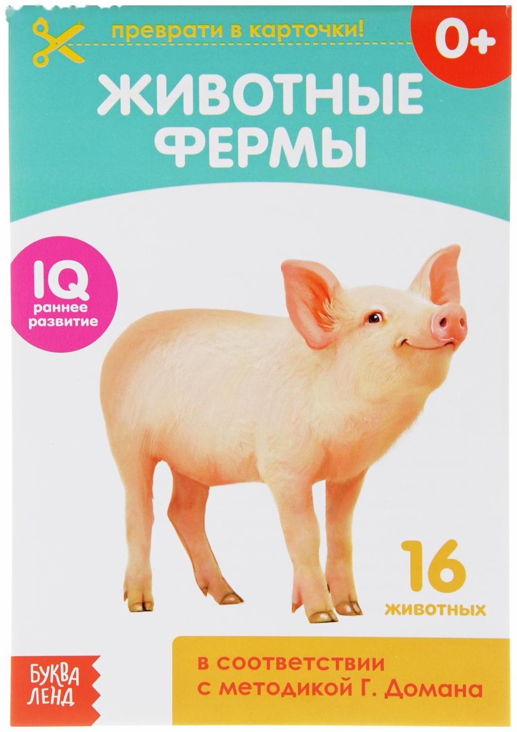 Обучающая книжка по методике Г. Домана «Животные фермы», 20 стр.