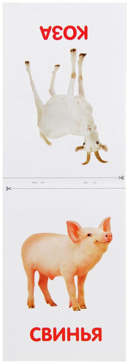 Обучающая книжка по методике Г. Домана «Животные фермы», 20 стр.