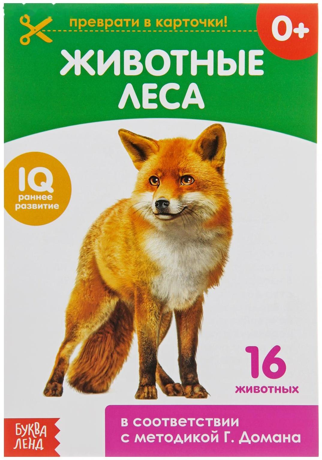 Обучающая книжка по методике Г. Домана «Лесные животные», 20 стр.