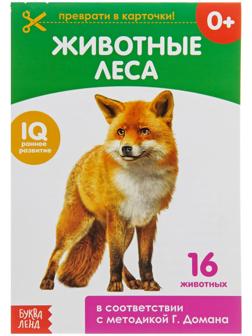 Обучающая книжка по методике Г. Домана «Лесные животные», 20 стр.