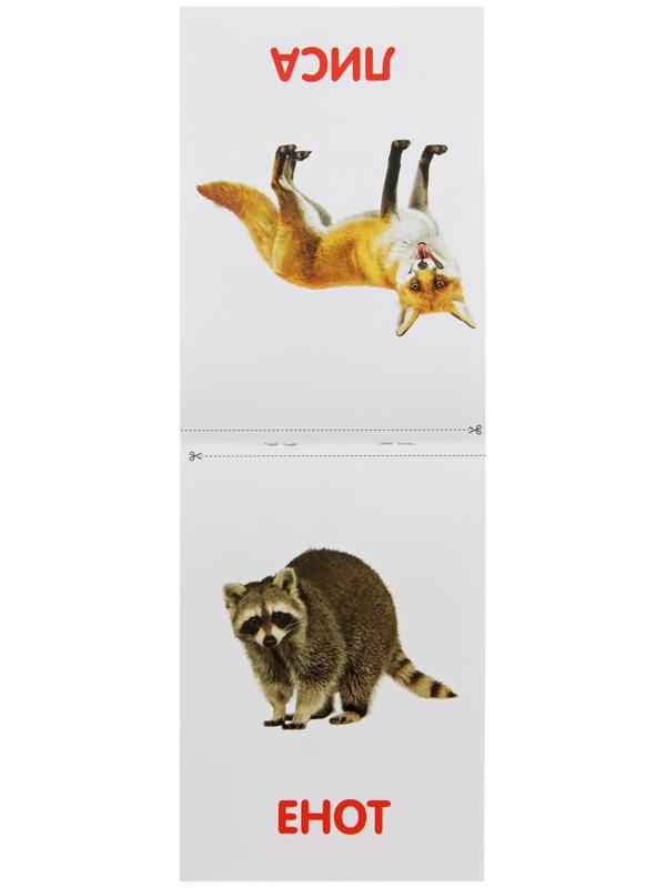 Обучающая книжка по методике Г. Домана «Лесные животные», 20 стр.