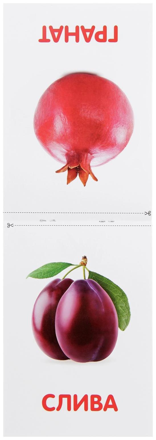 Обучающая книжка по методике Г. Домана «Фрукты», 20 стр.