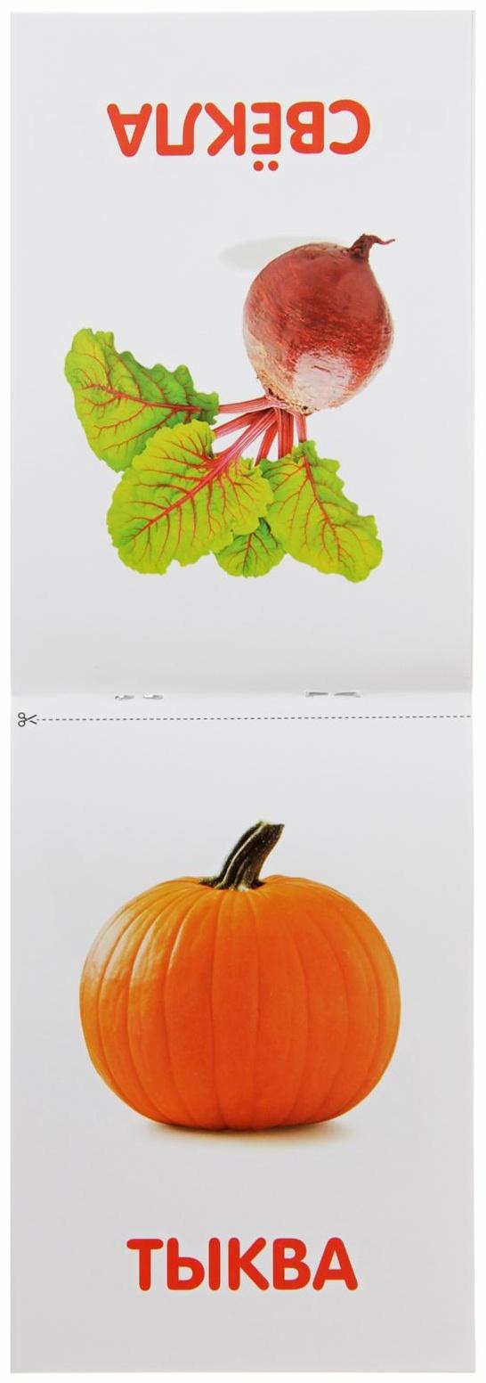 Обучающая книжка по методике Г. Домана «Овощи», 20 стр.