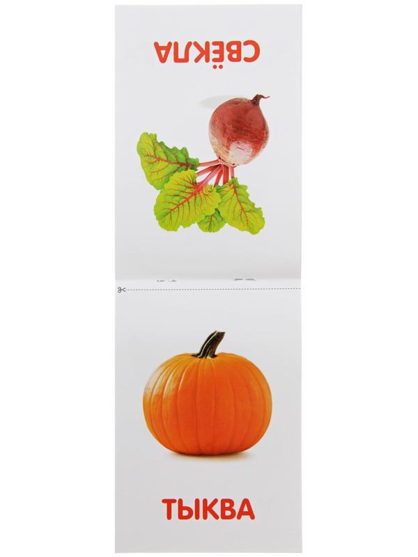 Обучающая книжка по методике Г. Домана «Овощи», 20 стр.