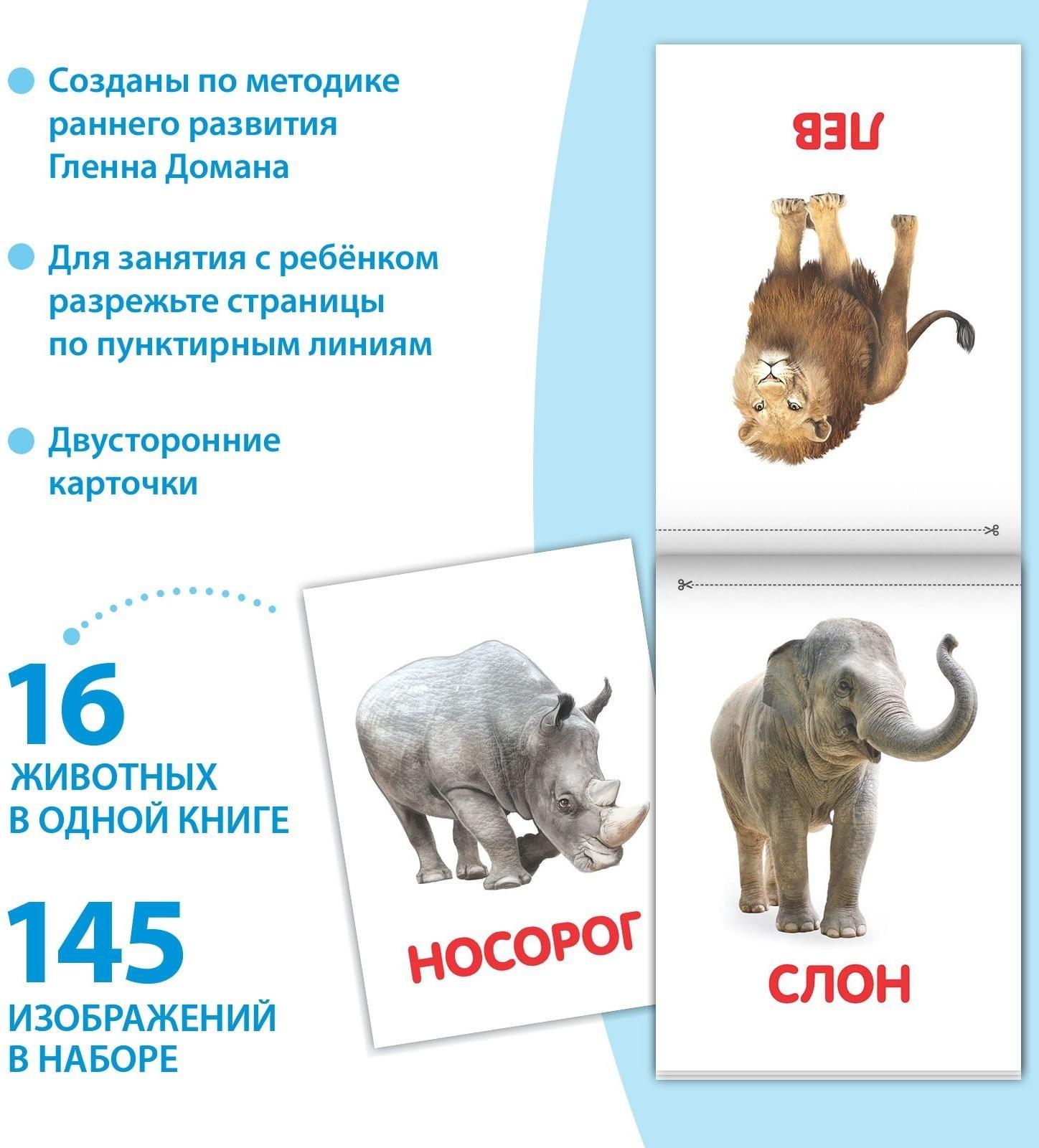 Книги «Карточки Домана на скрепке», набор, 8 шт. по 20 стр.