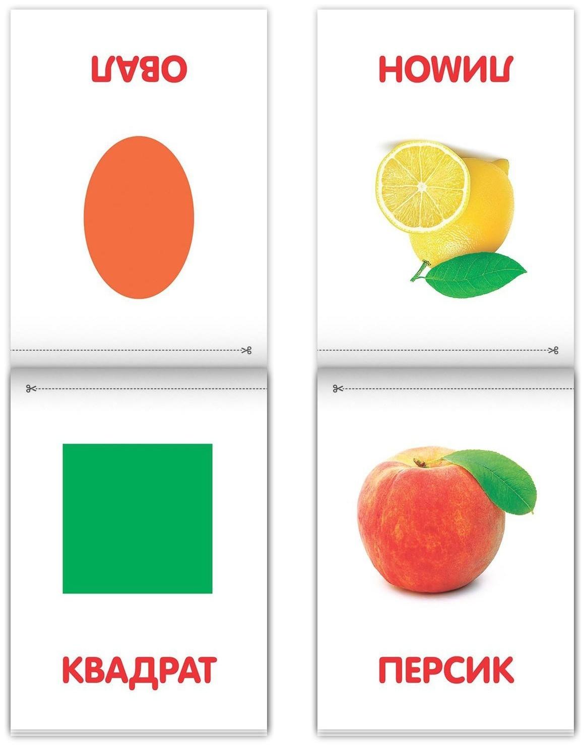 Книги «Карточки Домана на скрепке», набор, 8 шт. по 20 стр.