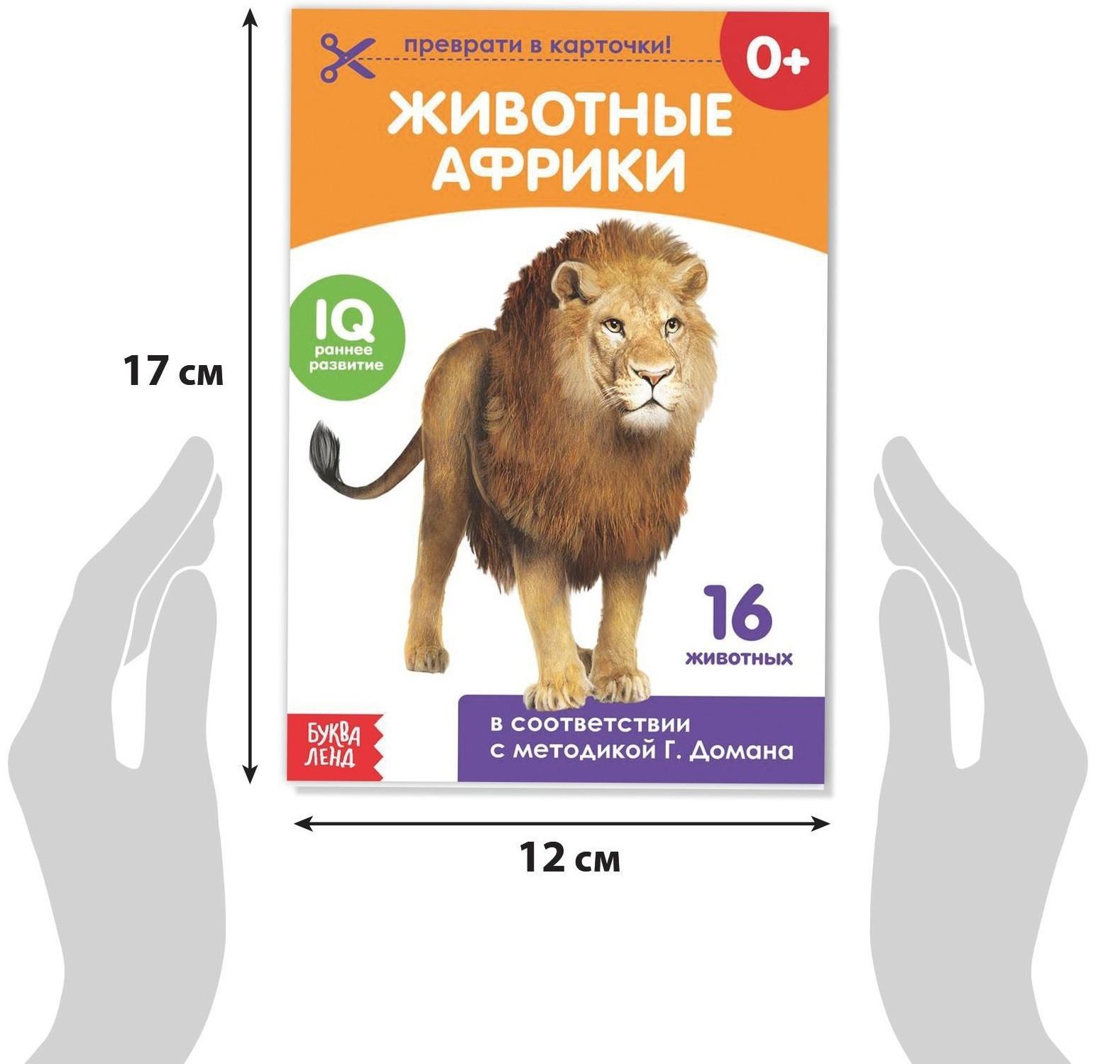 Книги «Карточки Домана на скрепке», набор, 8 шт. по 20 стр.