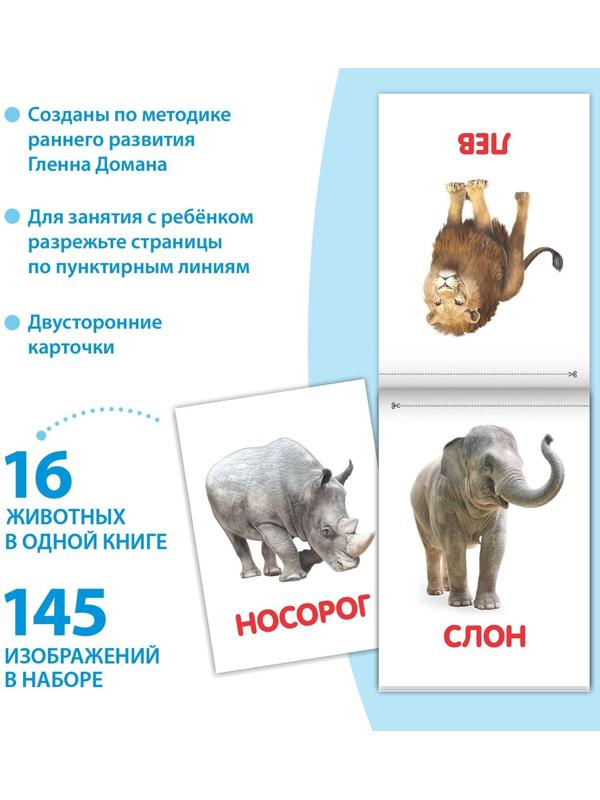 Книги «Карточки Домана на скрепке», набор, 8 шт. по 20 стр.