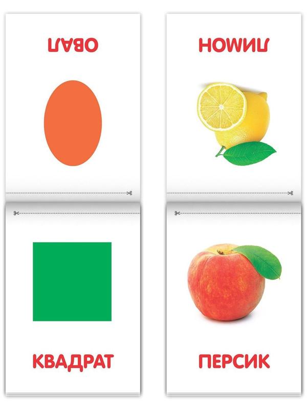 Книги «Карточки Домана на скрепке», набор, 8 шт. по 20 стр.