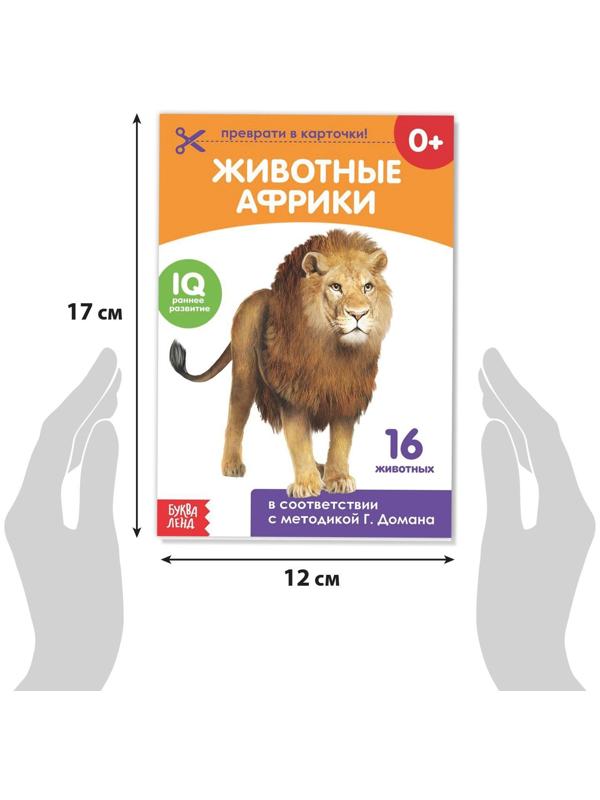 Книги «Карточки Домана на скрепке», набор, 8 шт. по 20 стр.