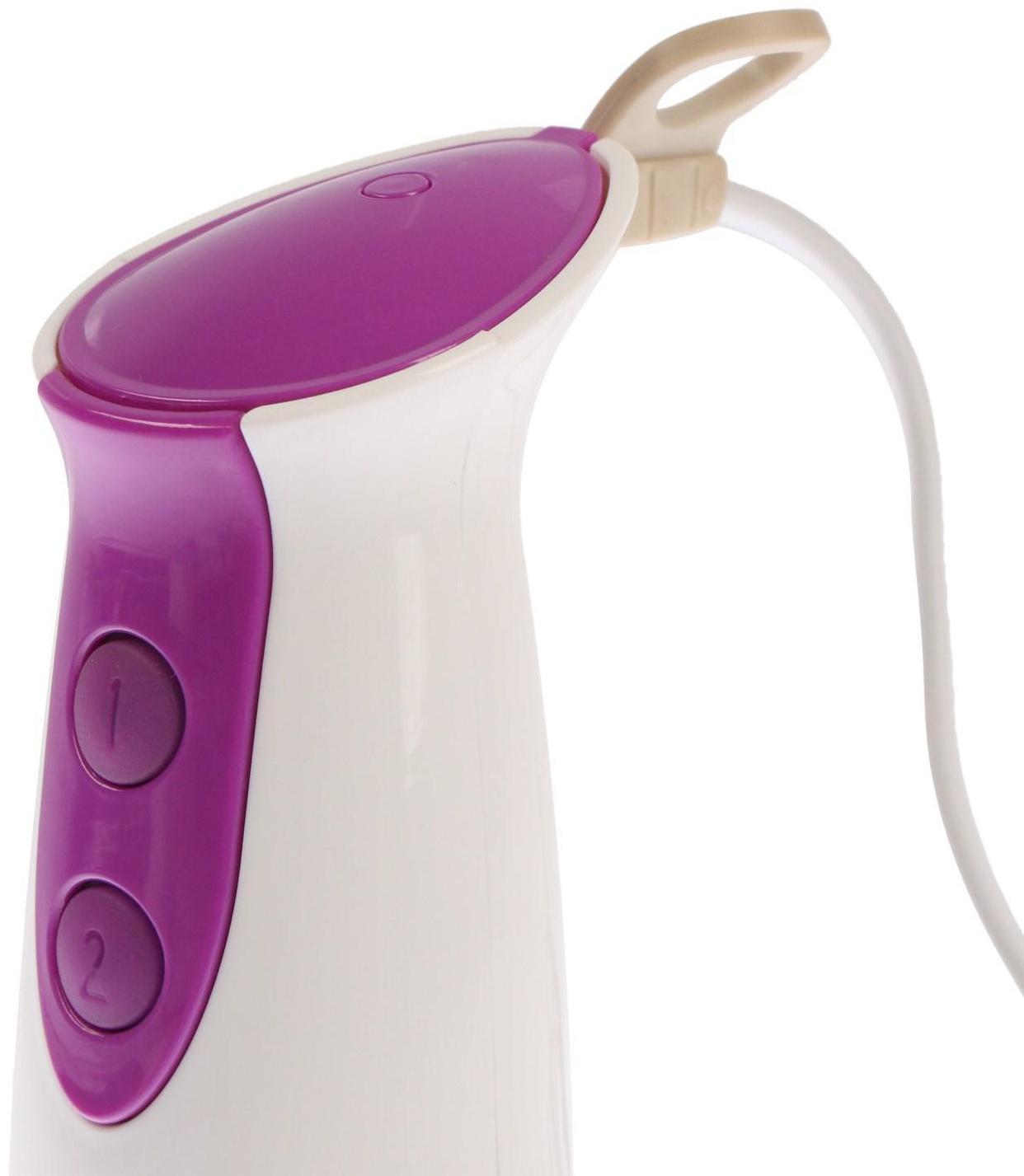 Блендер LuazON LBR-01, погружной, 500 Вт, 0.5/0.6 л, 2 скорости, фиолетовый