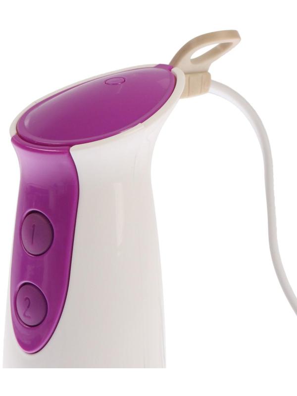 Блендер LuazON LBR-01, погружной, 500 Вт, 0.5/0.6 л, 2 скорости, фиолетовый