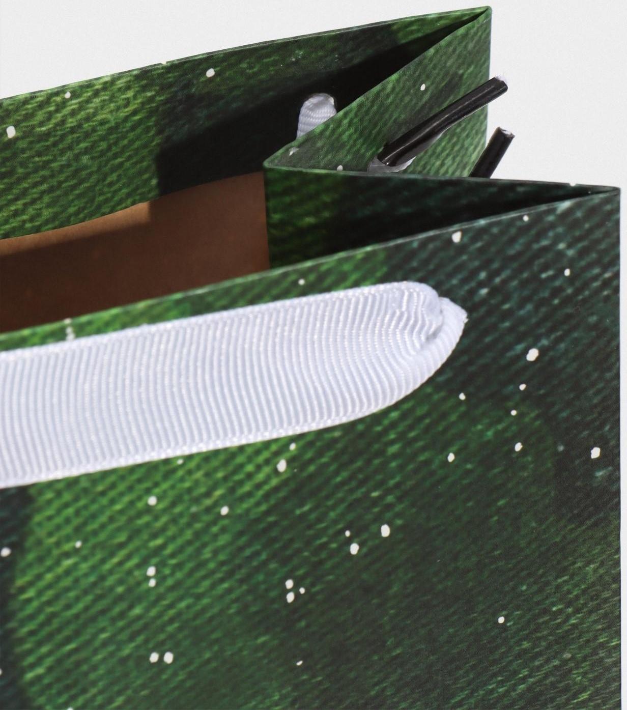 Пакет под бутылку «С днём защитника Отечества», 36 × 13 × 10 см