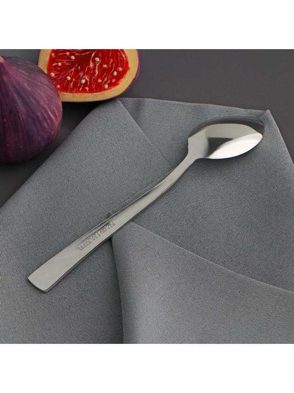 Ложка чайная «Хоккайдо», h=15 см, толщина 1 мм