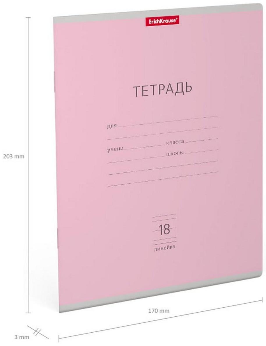 Тетрадь 18 листов в линейку ErichKrause 