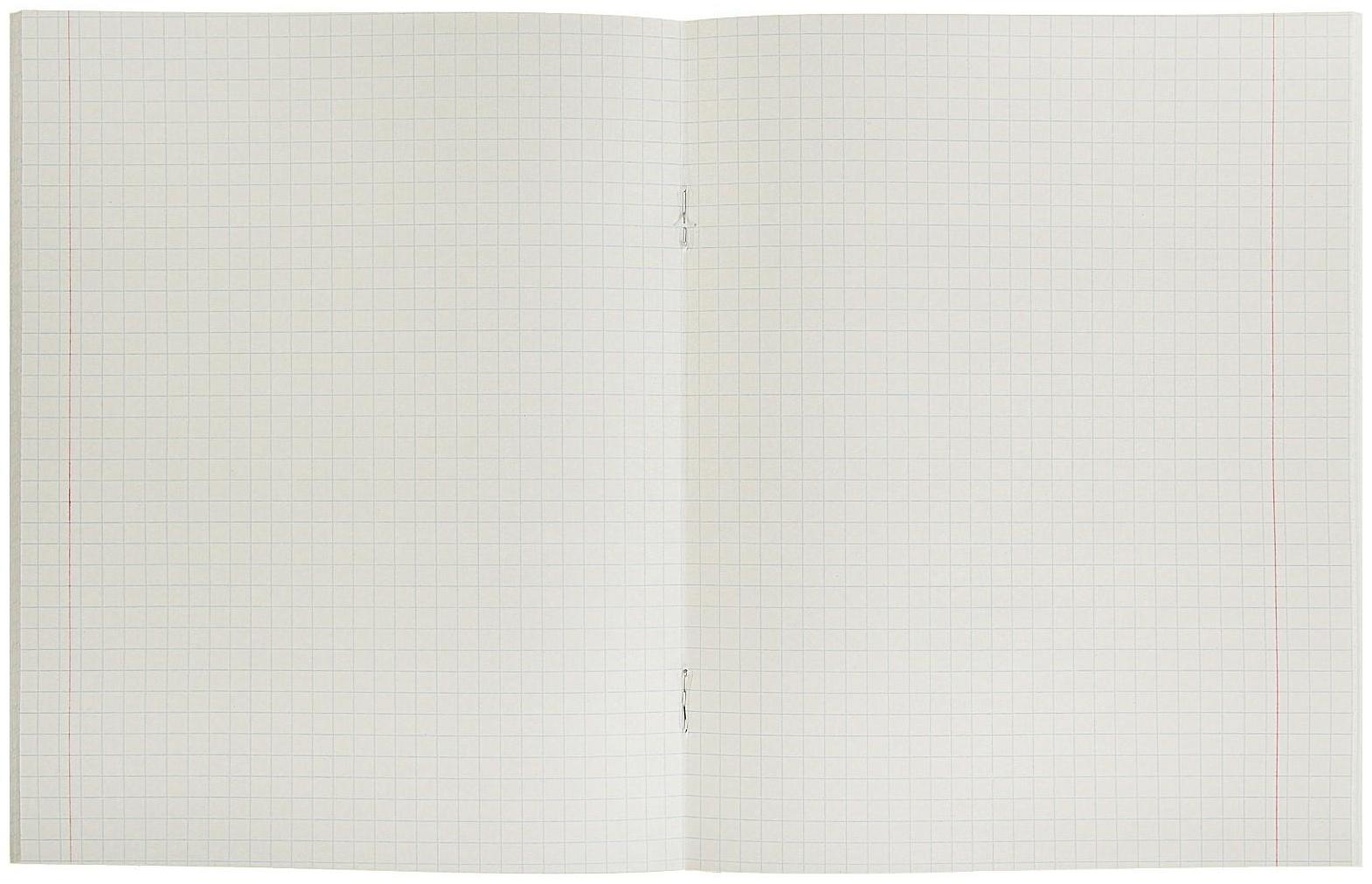 Тетрадь 48 листов в клетку Calligrata 