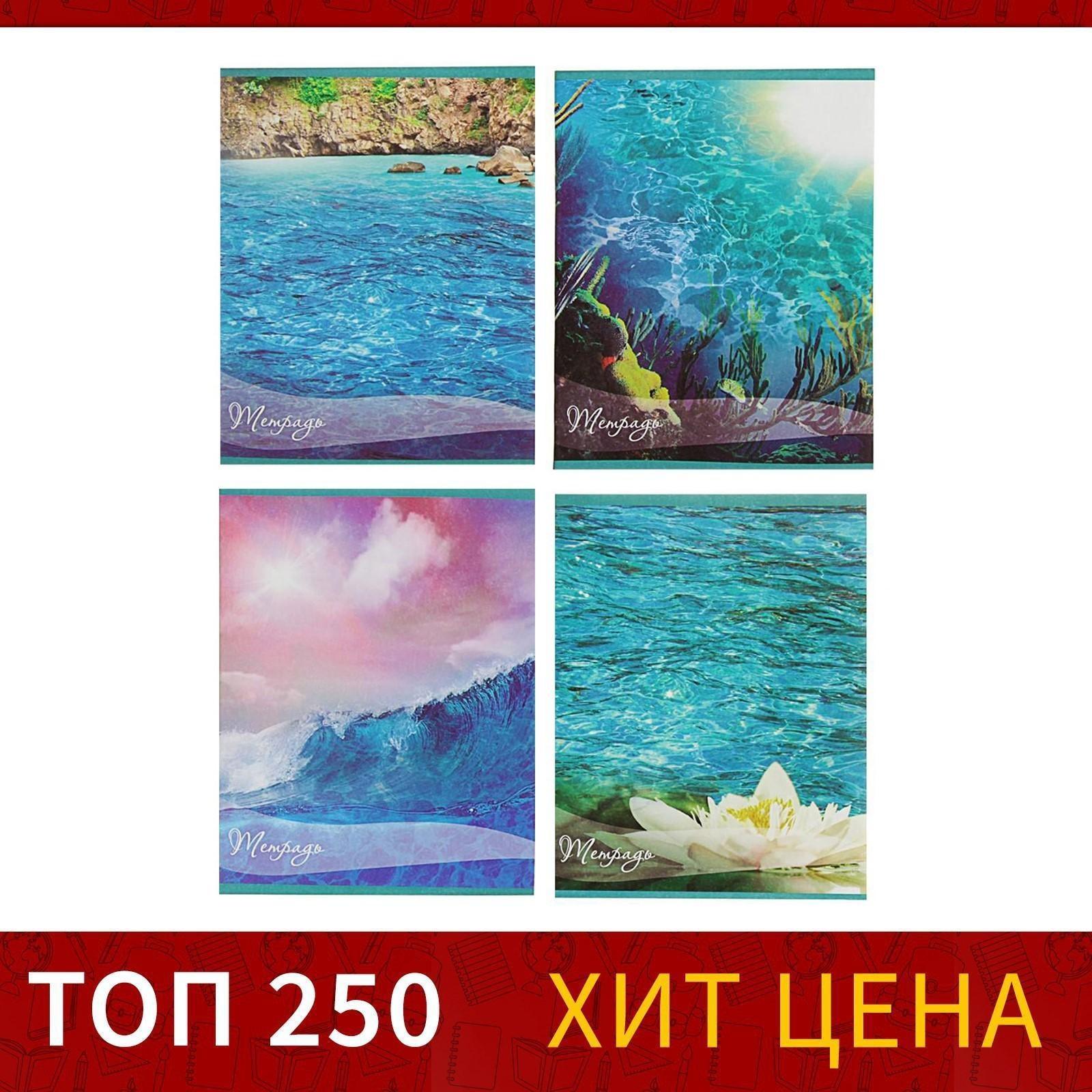 Тетрадь 48 листов в клетку Calligrata 