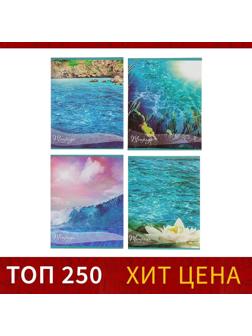 Тетрадь 48 листов в клетку Calligrata 